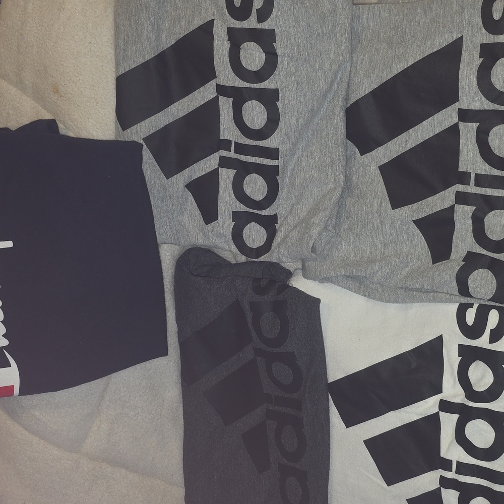 5 T's, 2 Adidas Gray Tee ,1  Dark Gray, 1 White, 1Dark Blue Champion